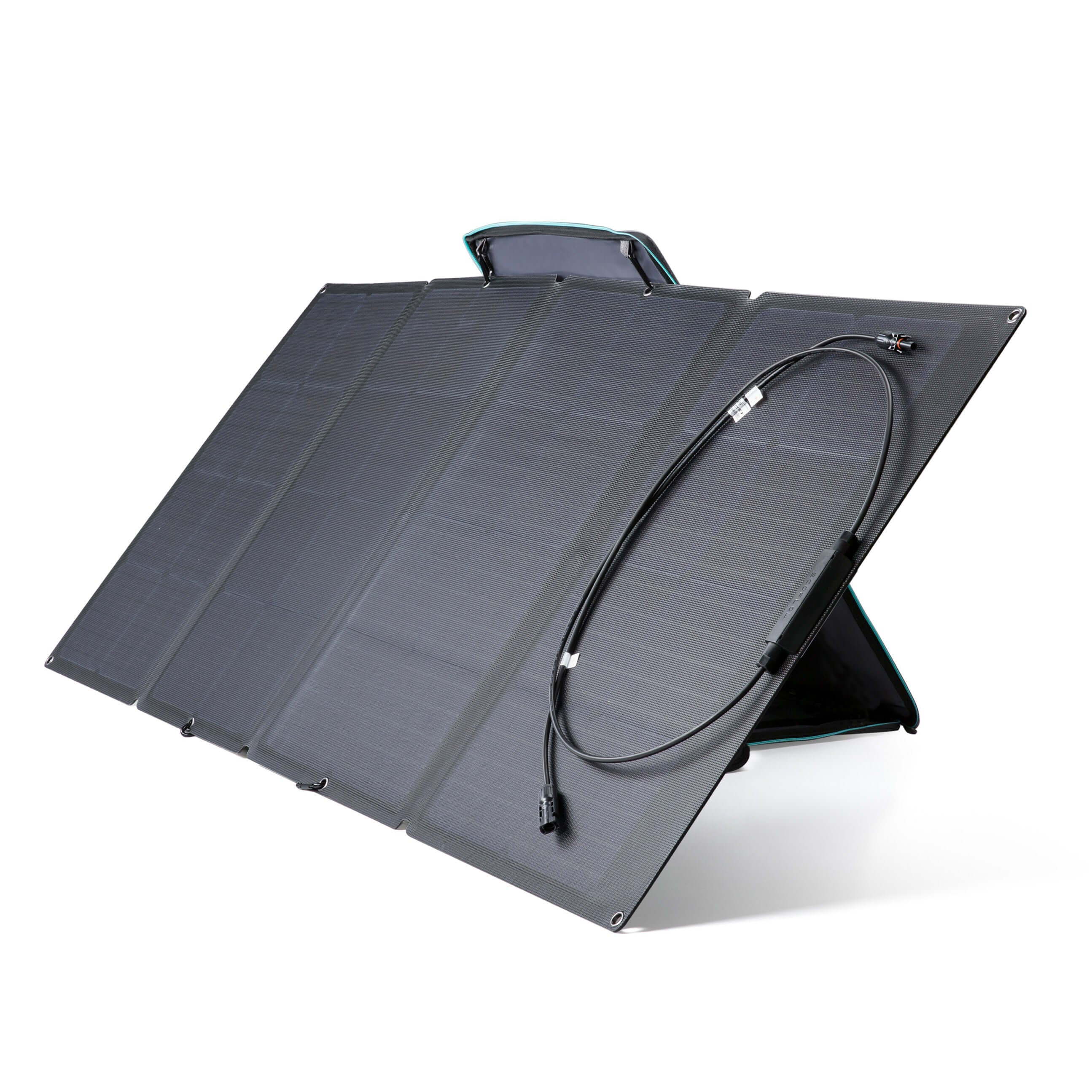 EcoFlow 160W Solar Panel