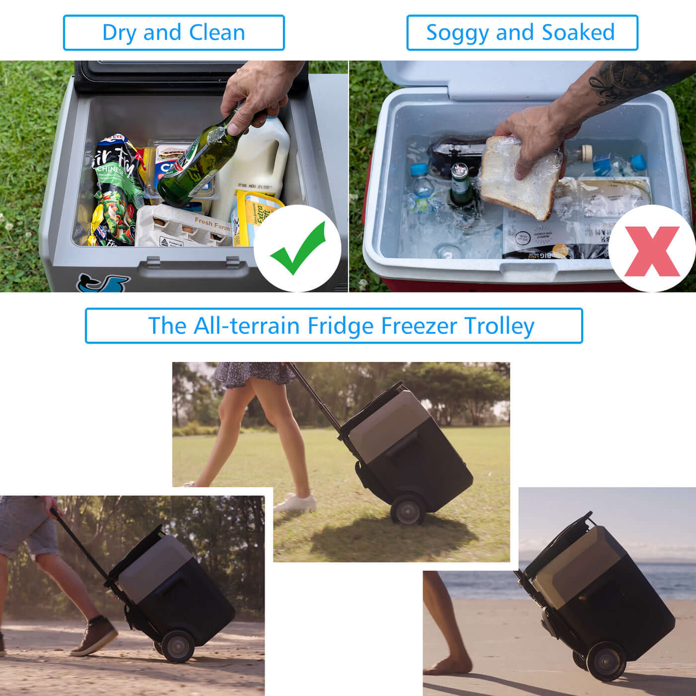 LionCooler Pro Portable Solar Fridge Freezer 42 Quarts